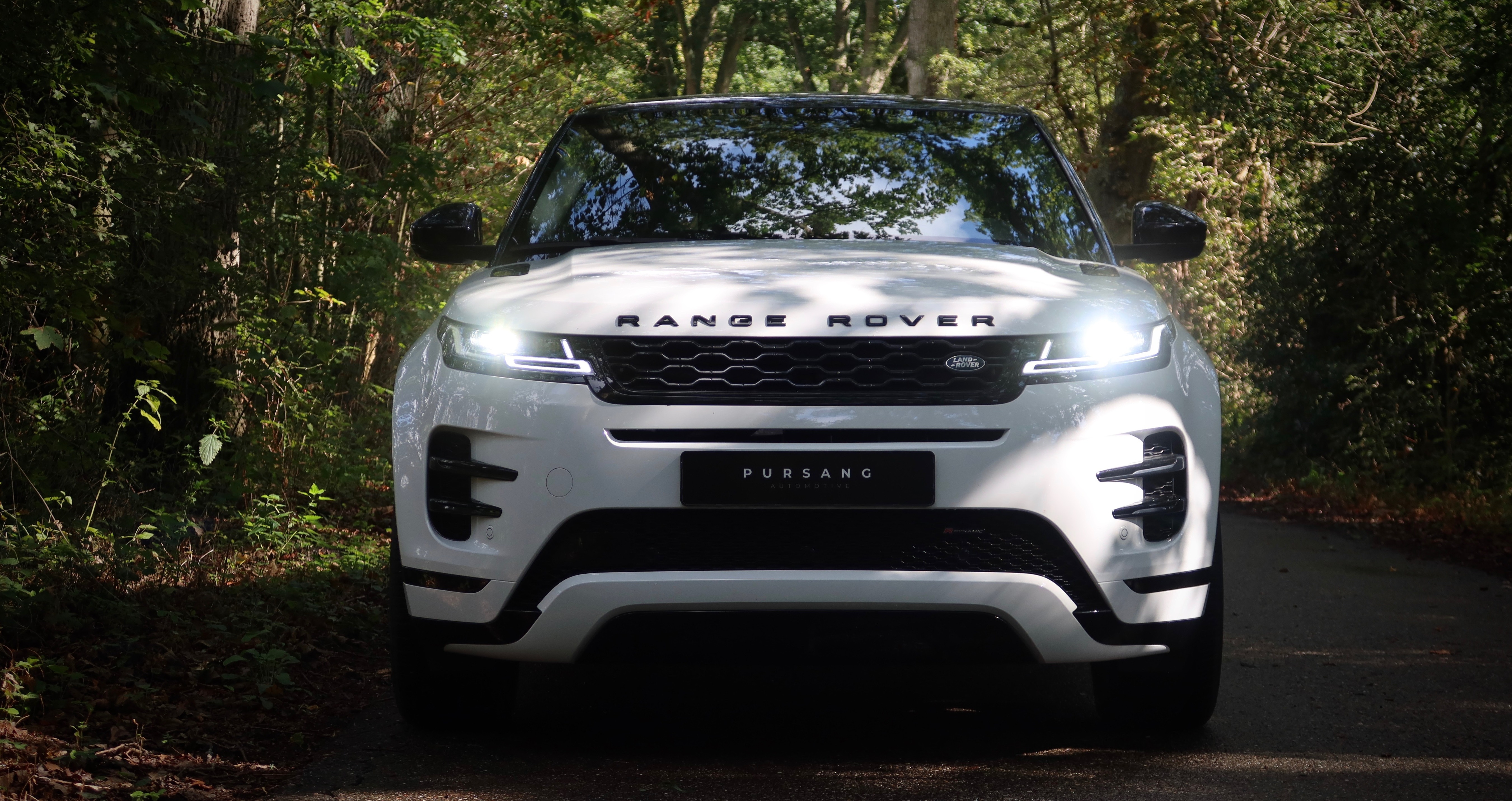 Gallery gallery_images_5_2_17900747971111461518.jpg  | Pursang Automotive