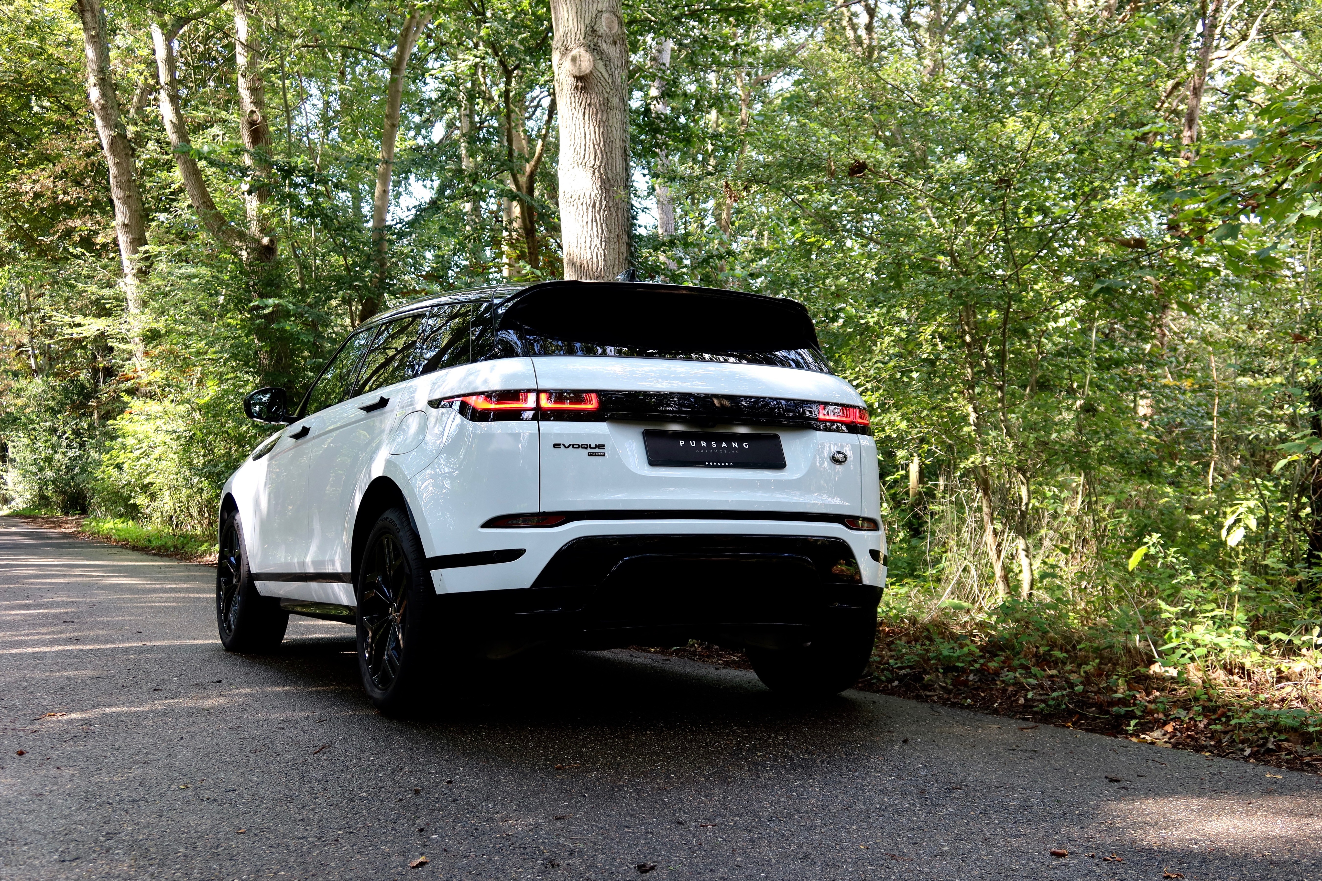 Content 6_content_image_1790073628208990985.jpg VERZEKERING | Pursang Automotive