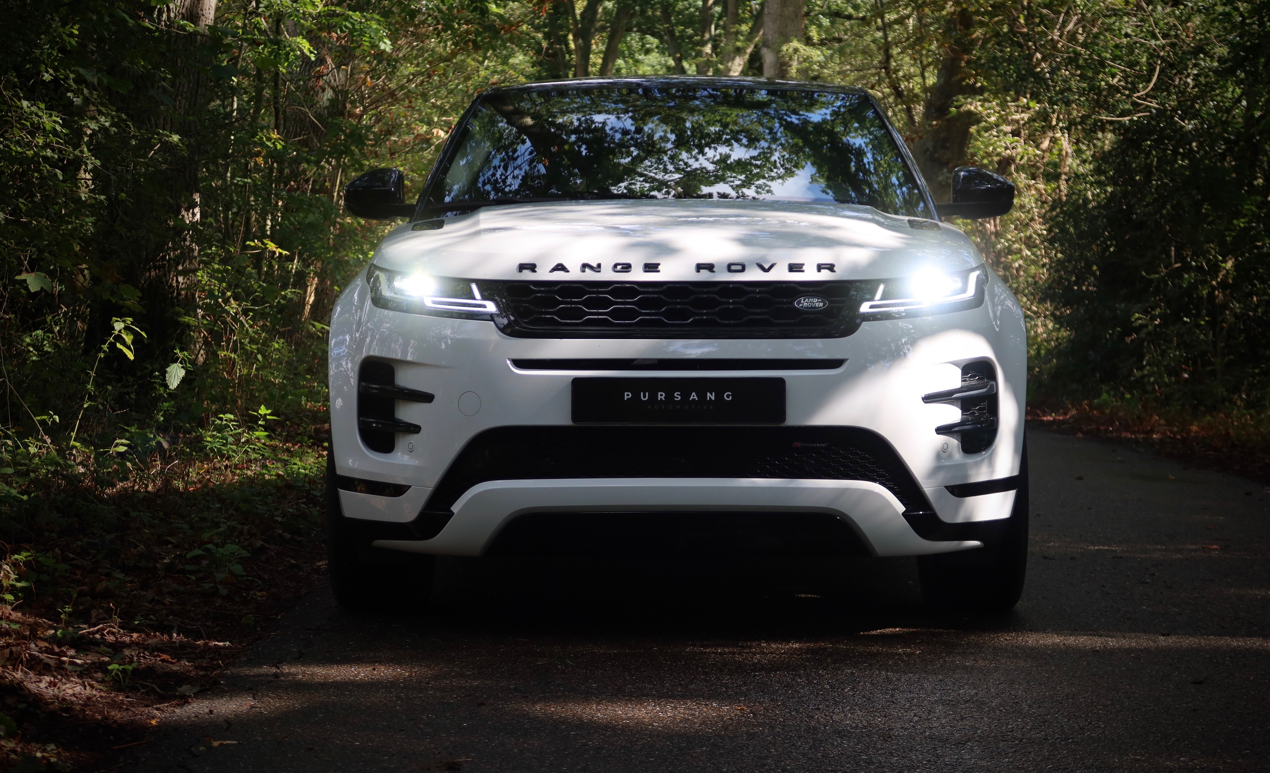 Header banner_images_0_17900725351801926231.jpg Home | Pursang Automotive