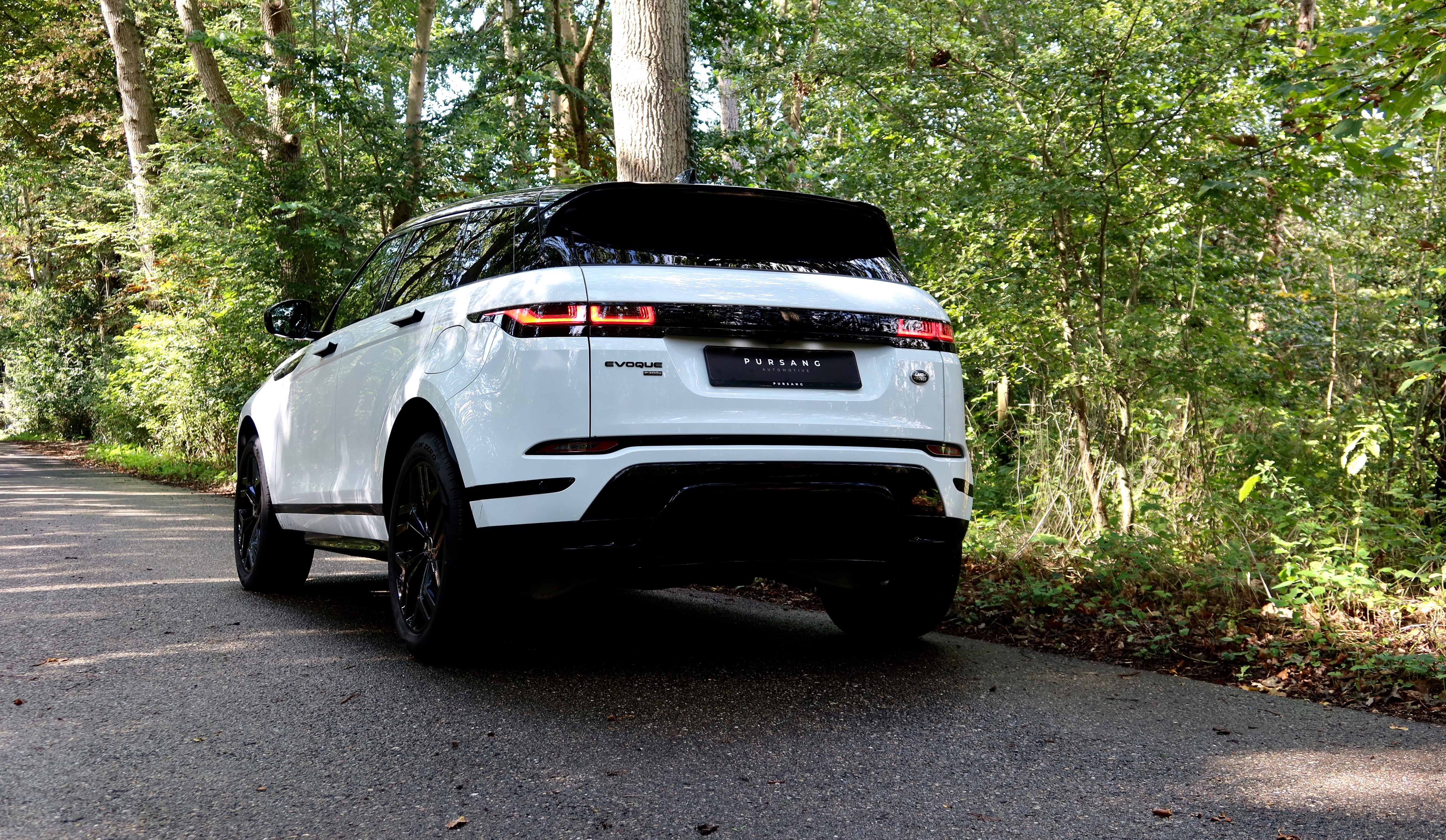 Common Image dinesten_images_1790073628.jpg VERZEKERING | Pursang Automotive